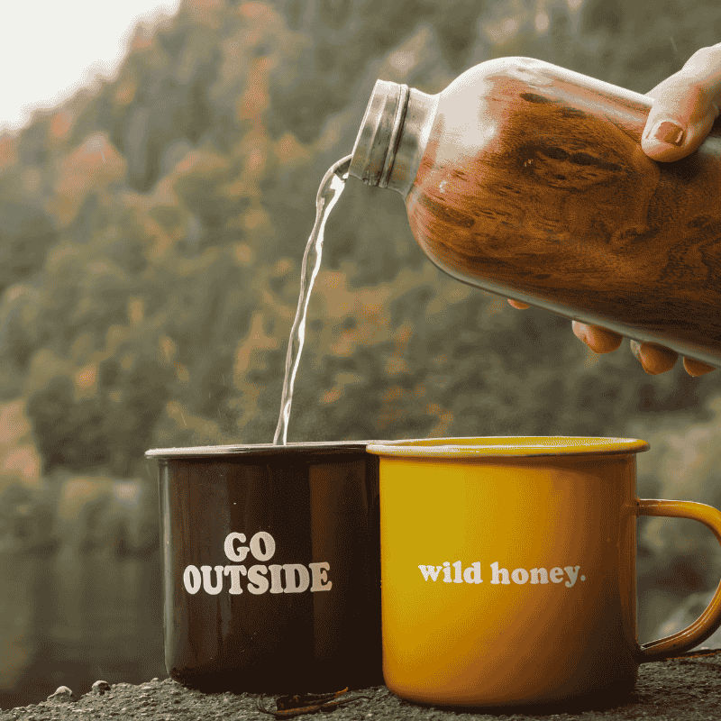 Wellness retreats 2025