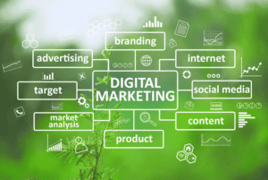 Best Digital Marketing Agency in Chandigarh