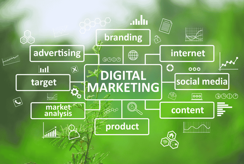 Best Digital Marketing Agency in Chandigarh