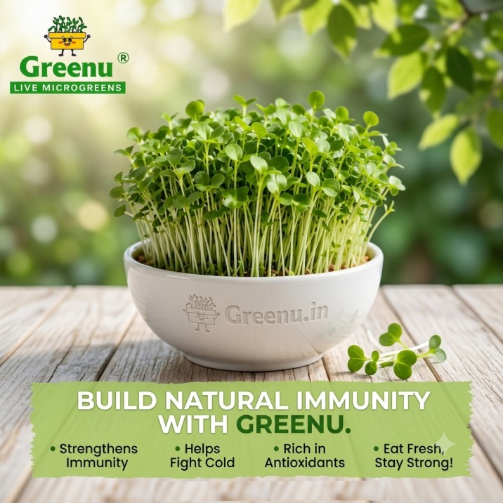 buy live microgreens online